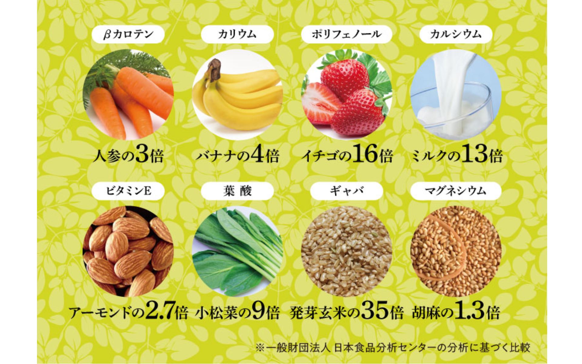 モリンガとは？
